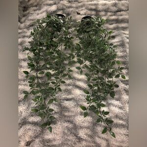 Artificial Greenery Vining Plant Set (2)